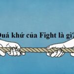 Quá khứ của Fight