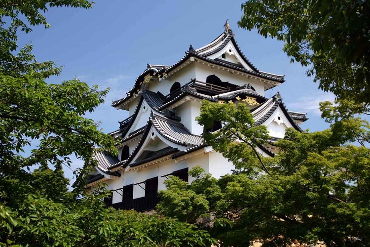 Lâu đài Hikone - lâu đài đẹp nhất ở Nhật Bản