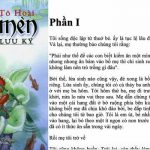 Review Truyện Dế Mèn Phiêu Lưu Ký