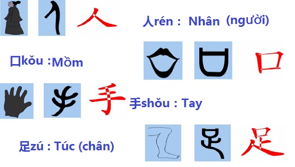 Các chữ tượng hình trong tiếng Trung